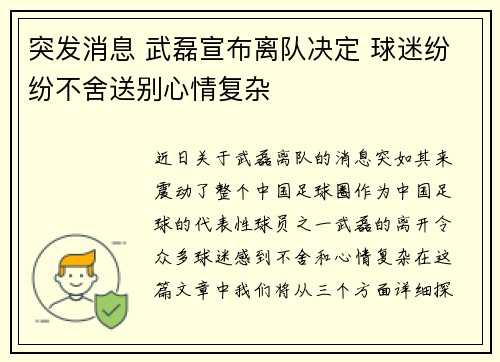 突发消息 武磊宣布离队决定 球迷纷纷不舍送别心情复杂