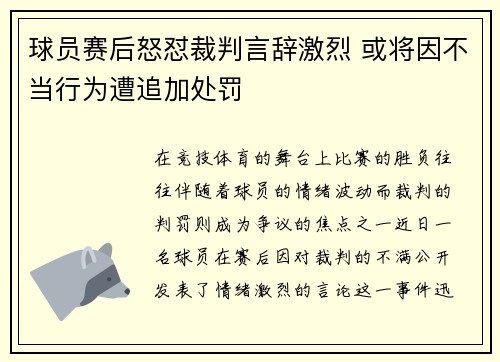 球员赛后怒怼裁判言辞激烈 或将因不当行为遭追加处罚